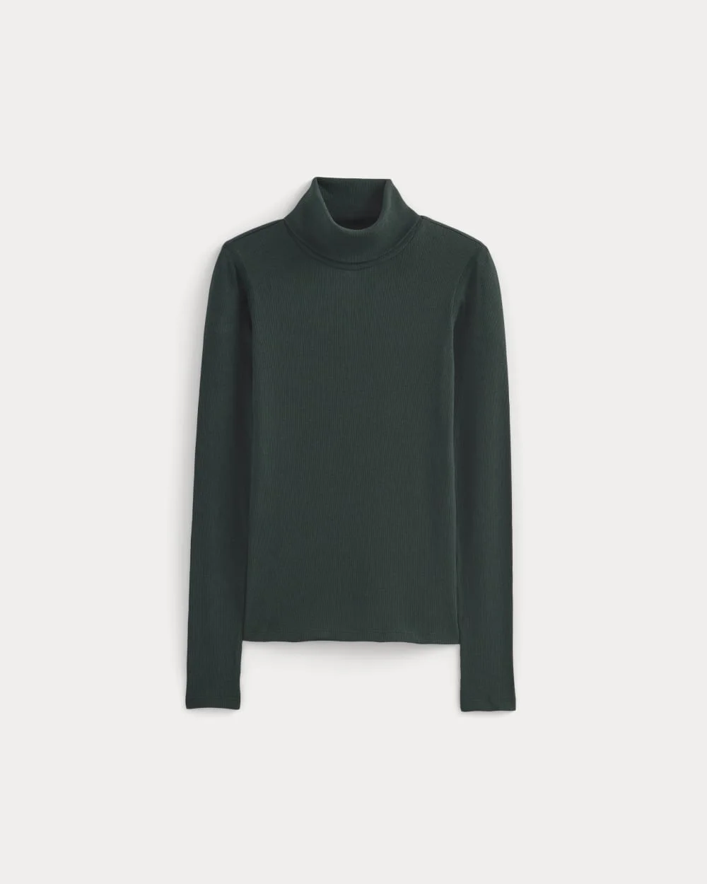 THE LUXE RIB TURTLENECK - 1