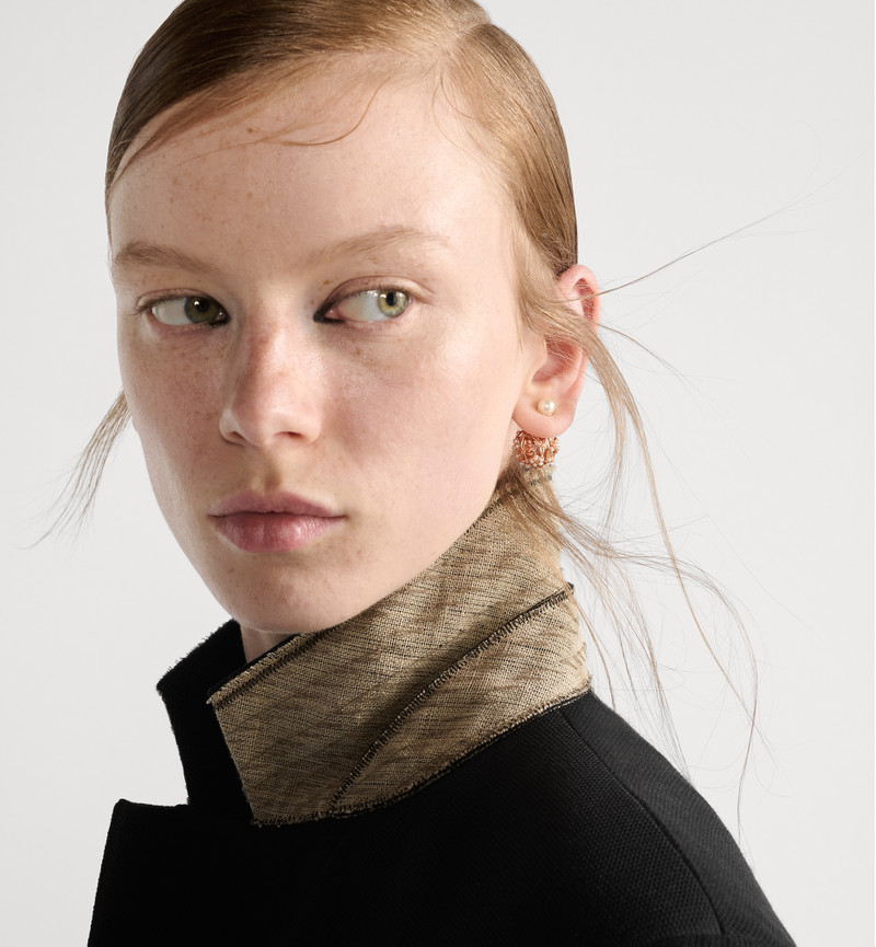 Dior Dior Tribales Earrings outlook