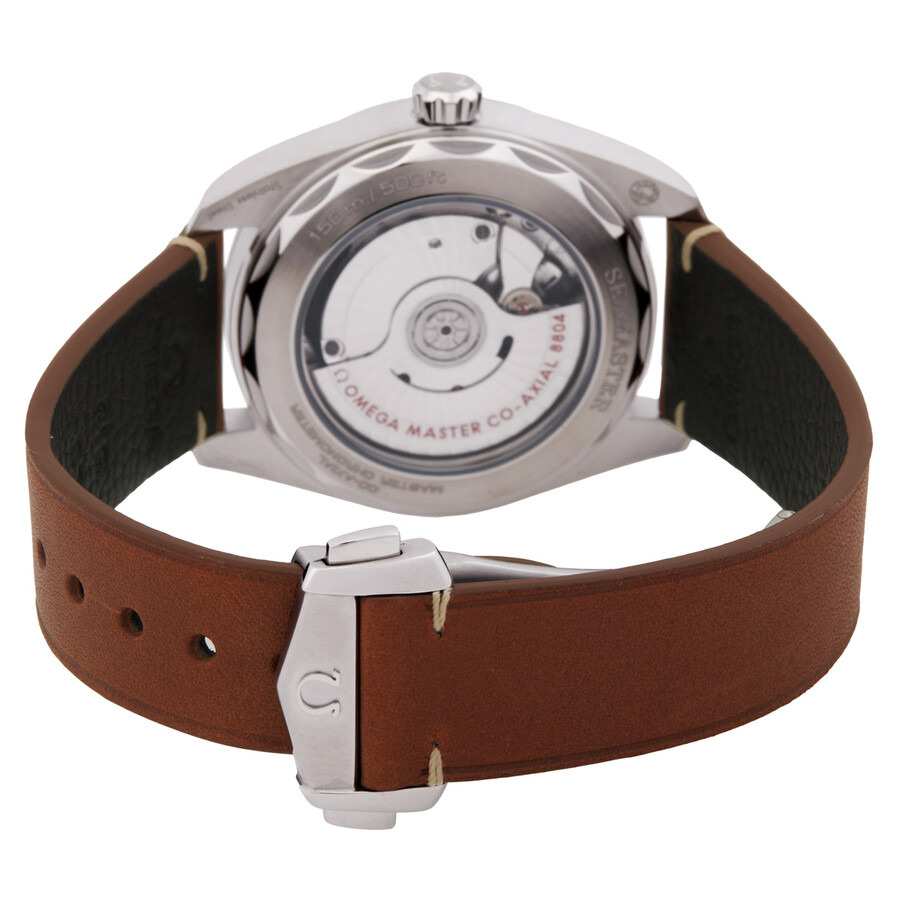 Omega Seamaster Railmaster Chronograph Automatic Brown Dial Watch 235.12.38.20.13.001 - 3
