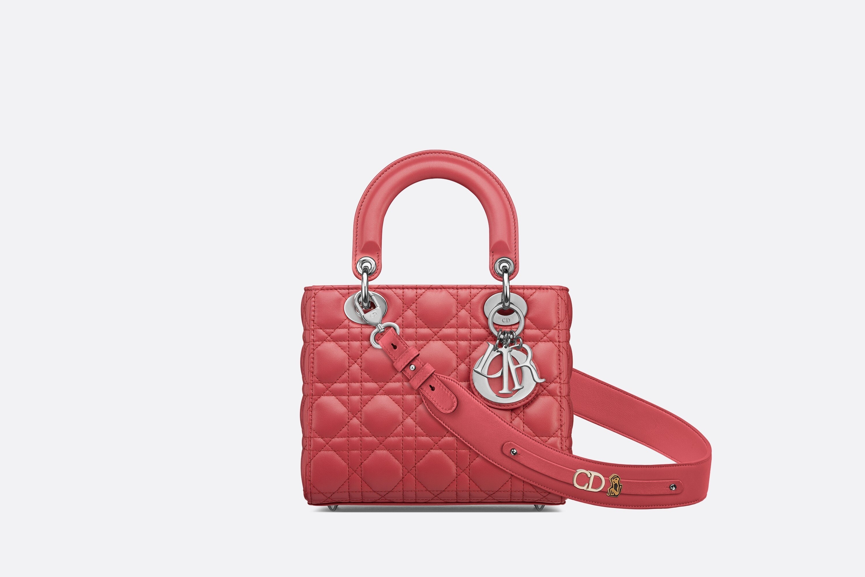 MyABCDior Lady Dior Bag - 5