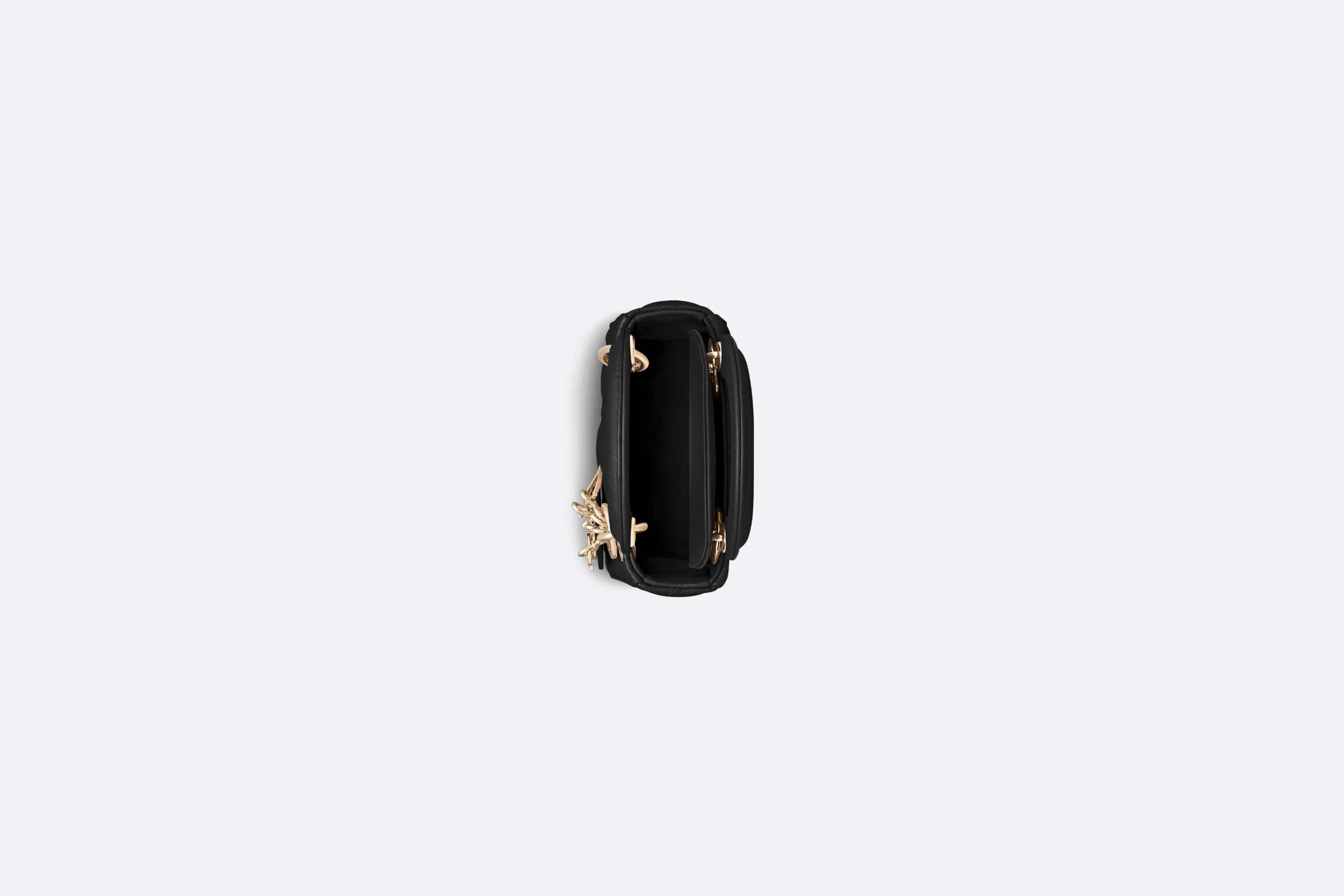 Lady Dior Micro Bag - 3