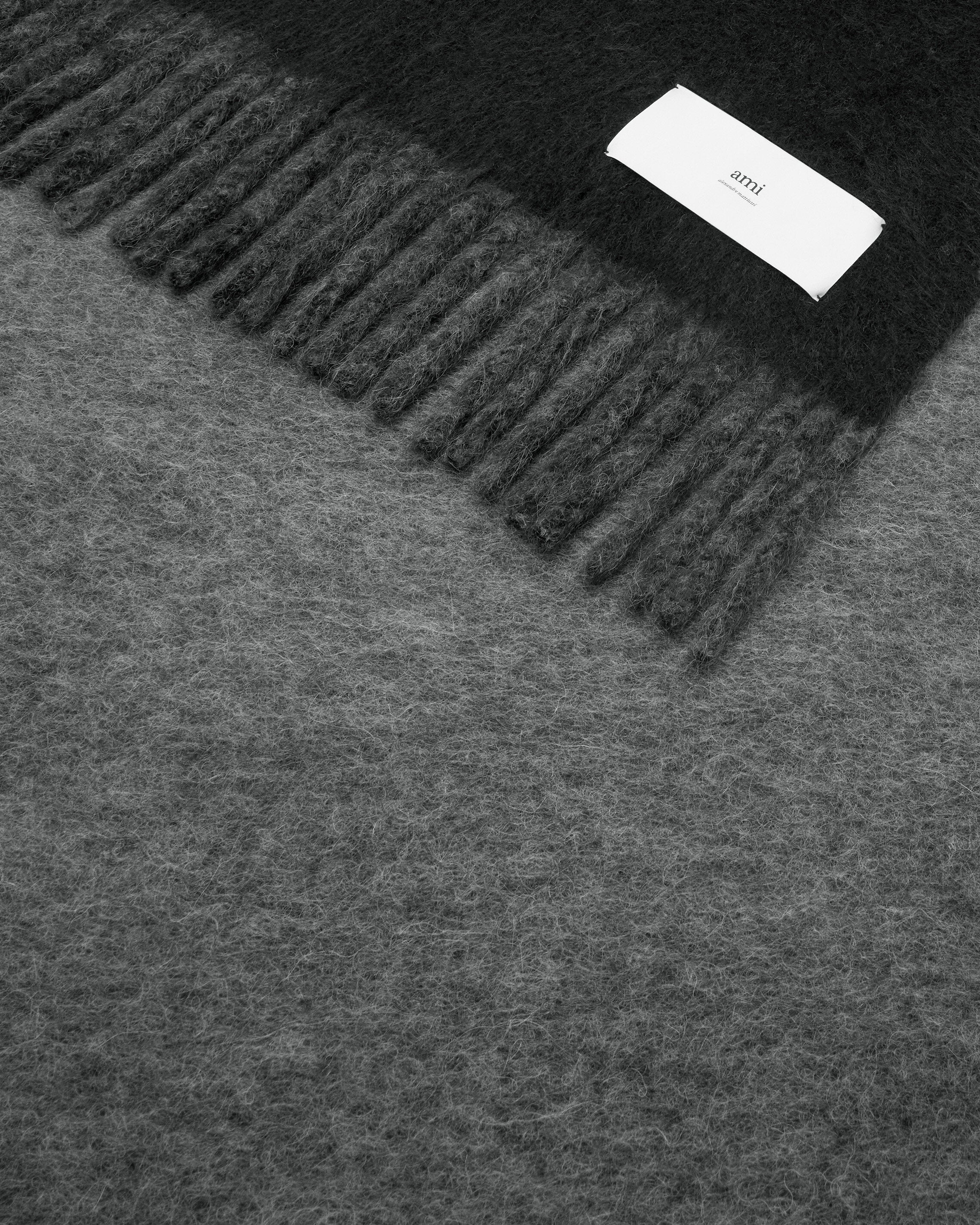 BICOLOR DOUBLE-SIDED BLANKET WITH AMI ALEXANDRE MATTIUSSI TAB - 2