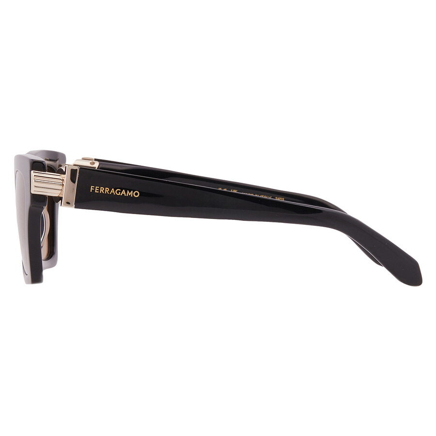 Ferragamo Brown Cat Eye Ladies Sunglasses SF2013S 011 52 - 4