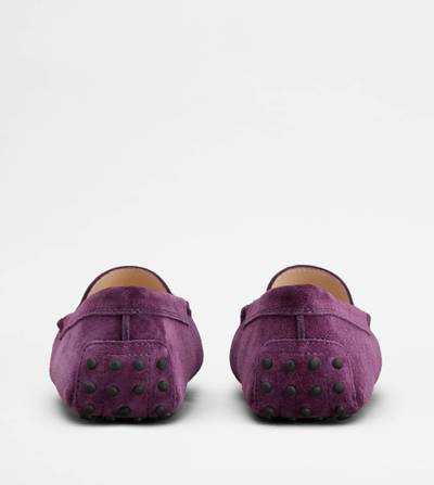 Tod's GOMMINO DRIVING SHOES IN SUEDE - VIOLET outlook