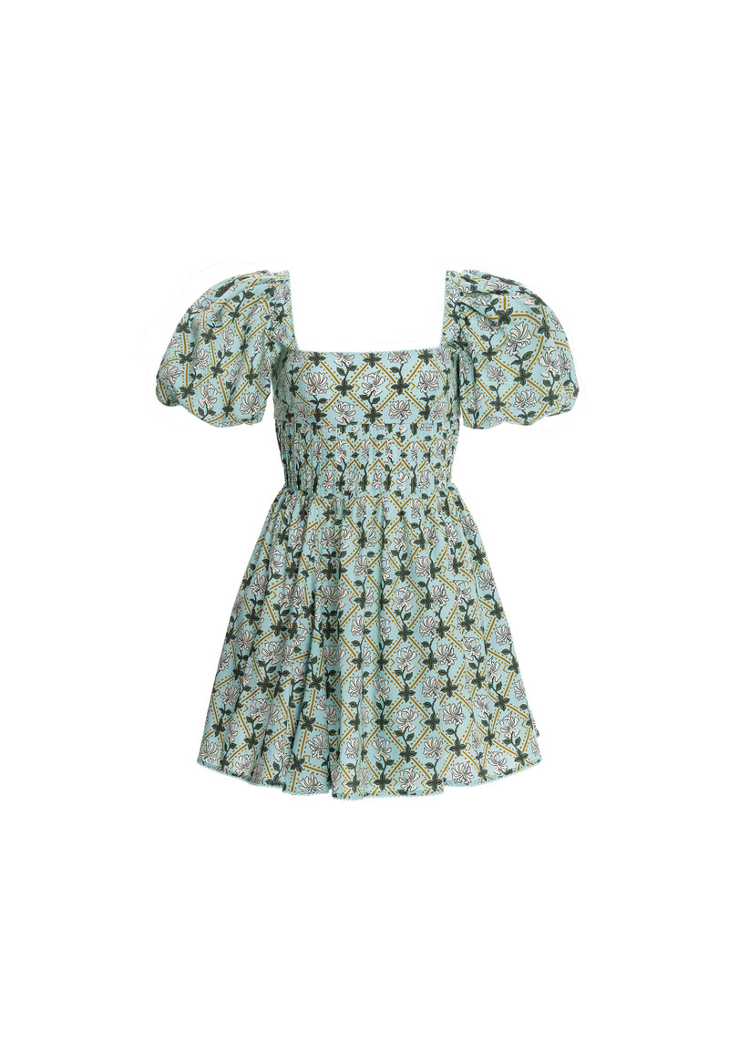Caramelo Herbal Mini Dress 1