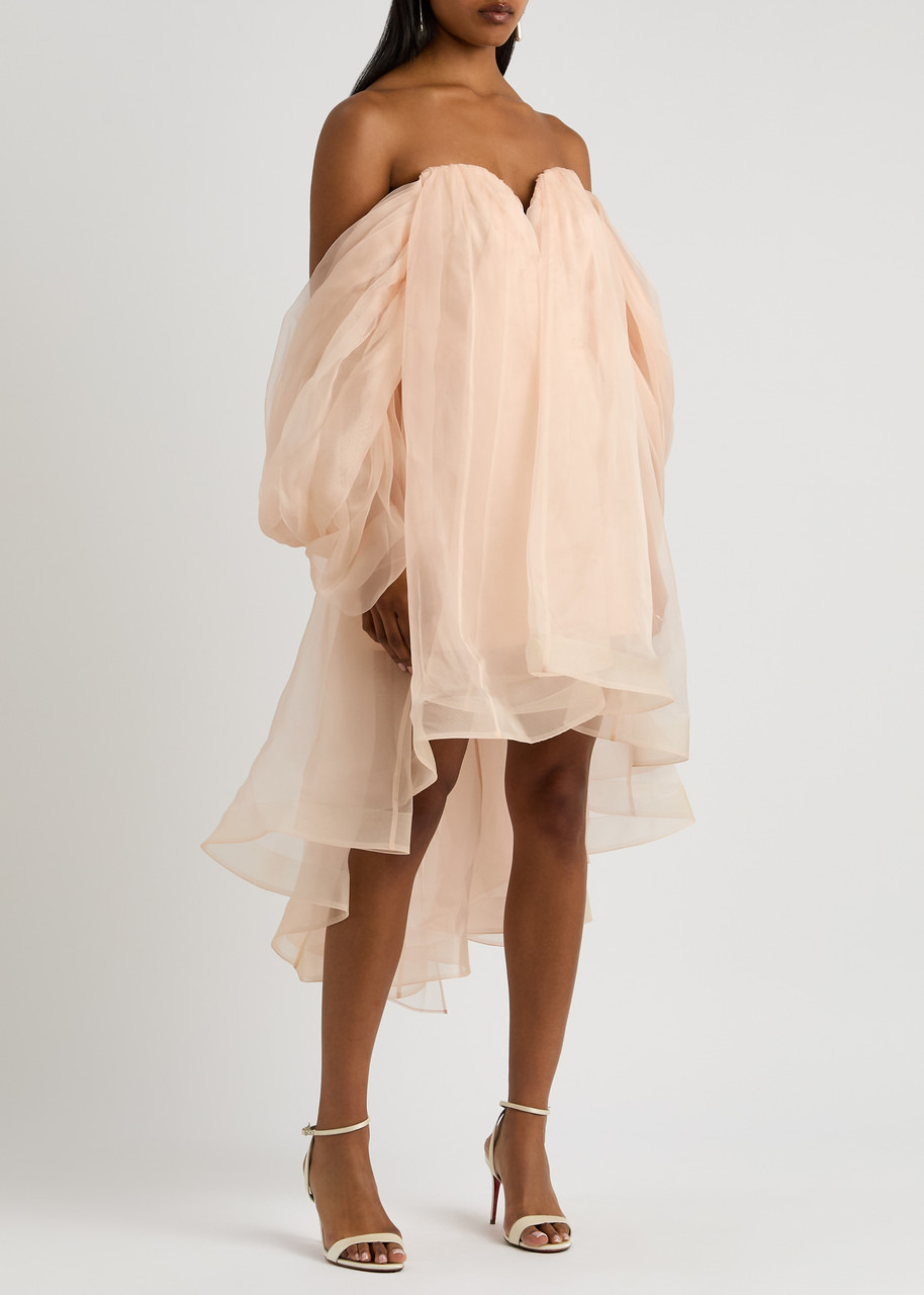 Zimmermann Crush Strapless Silk-organza Mini Dress - 2