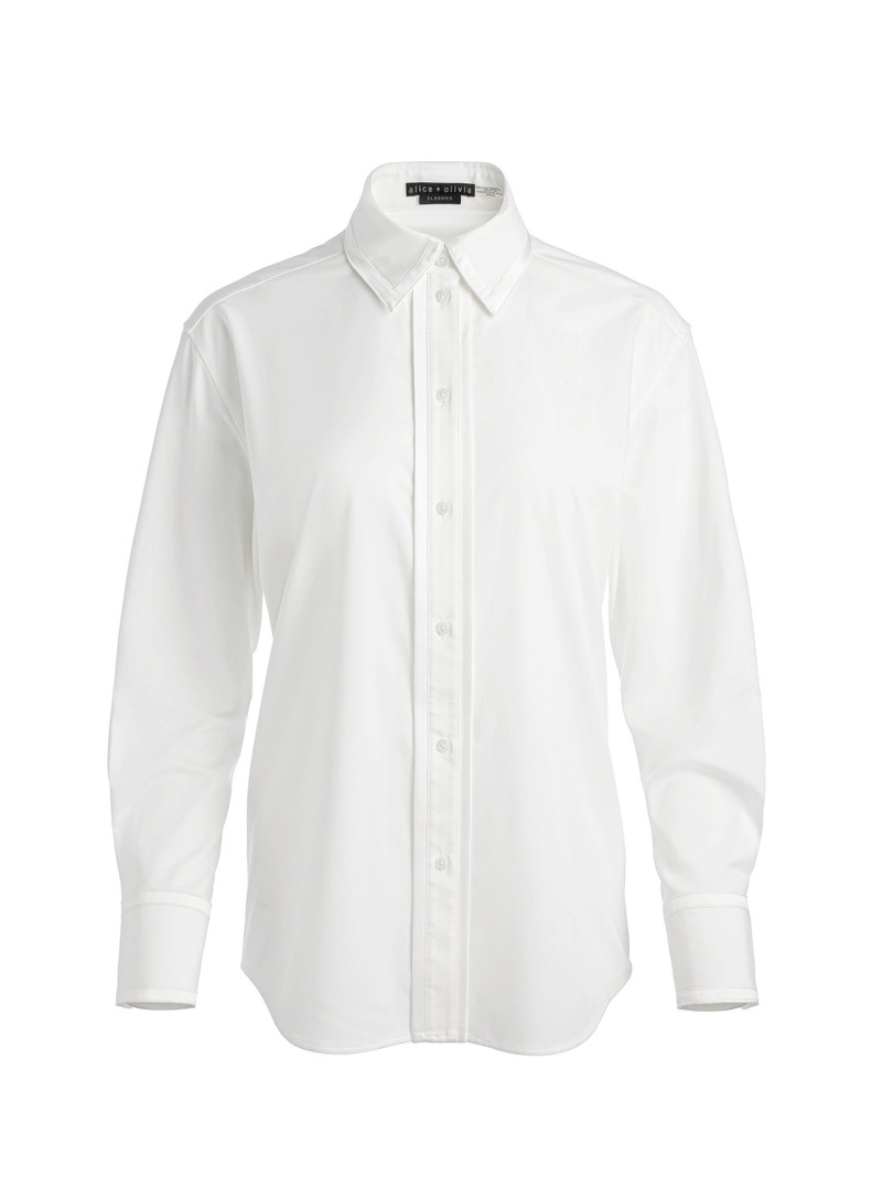 PERFECT BUTTON DOWN 1
