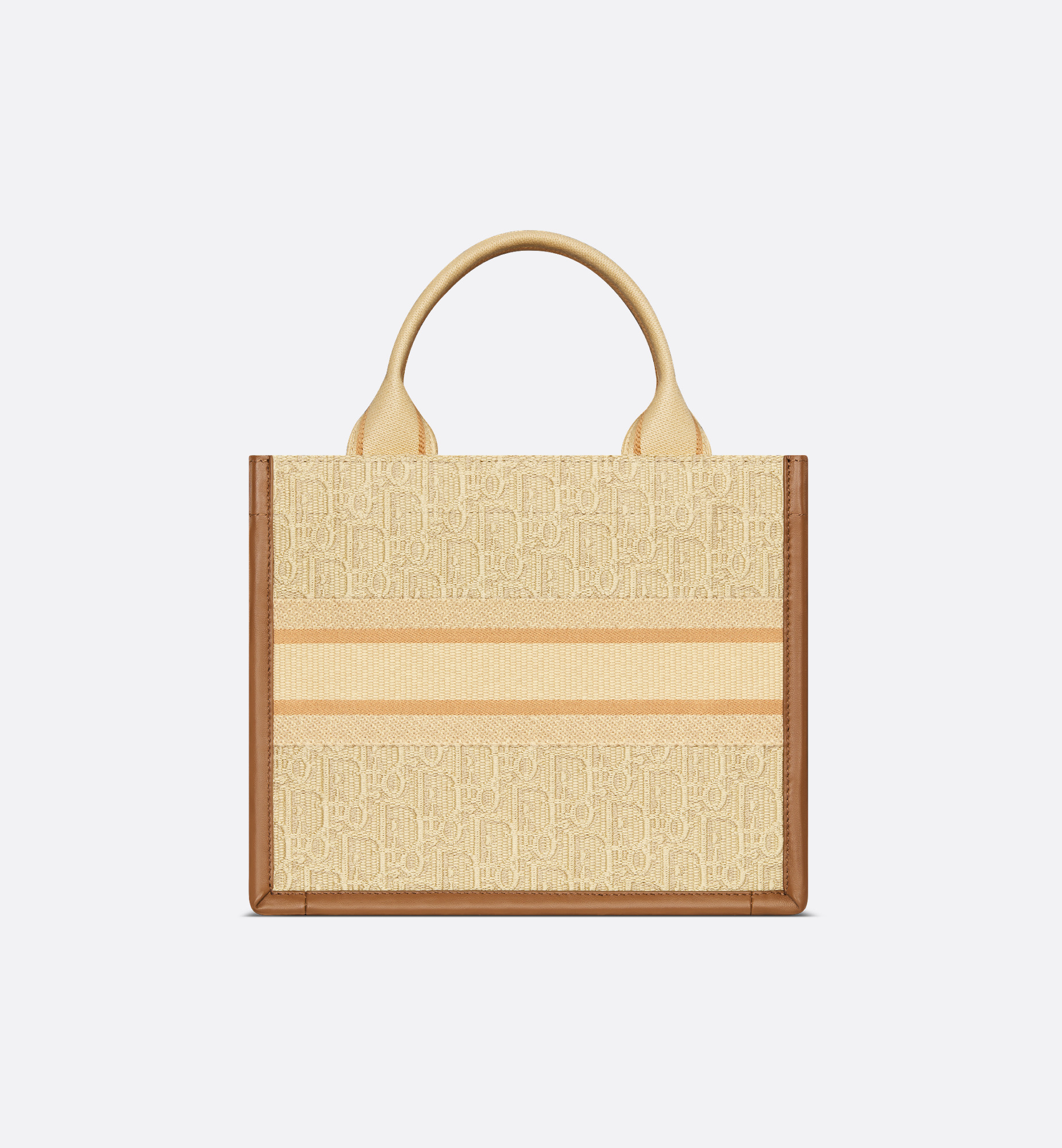 Small Dior Book Tote - 5