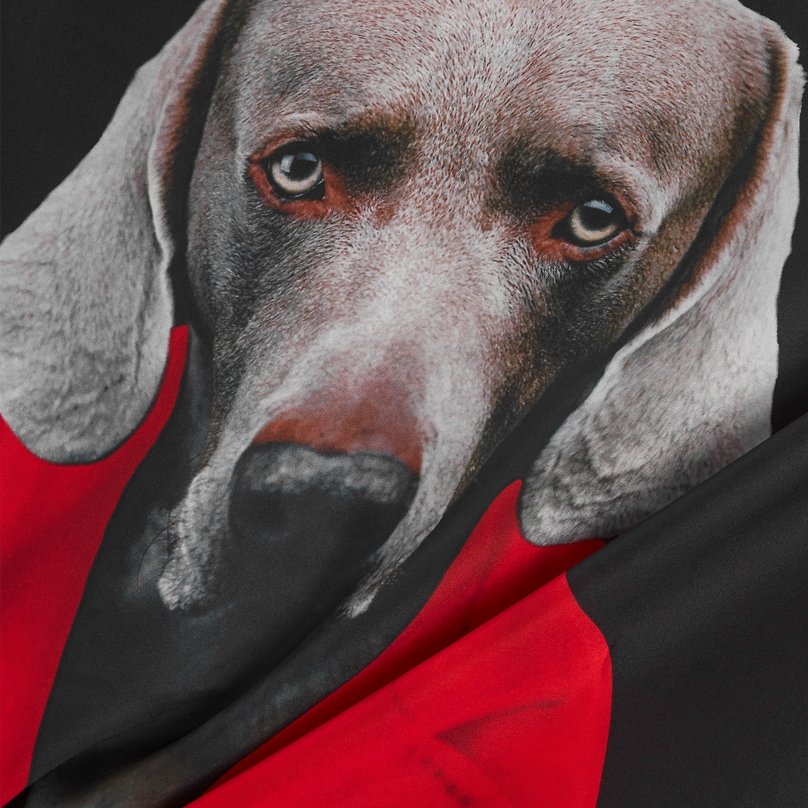 Max Mara Large Square Scarf with Dog Print - 3