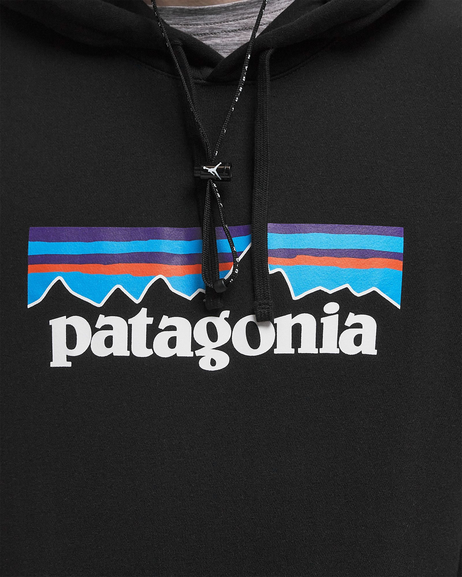 P-6 Logo Uprisal Hoody - 3