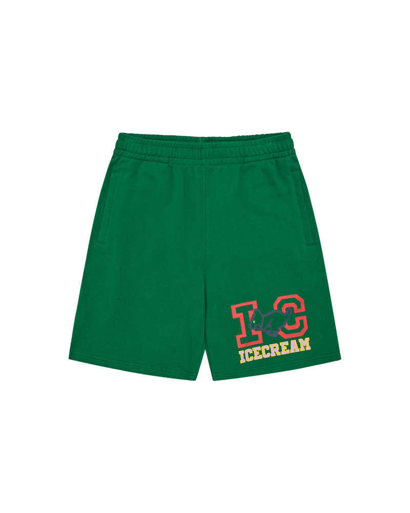 COLLEGIATE PUPPY SHORTS 1