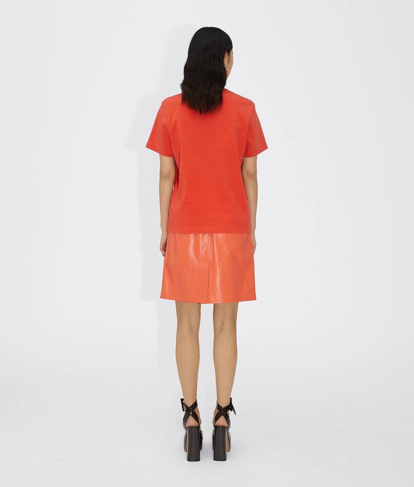 skirt - 2