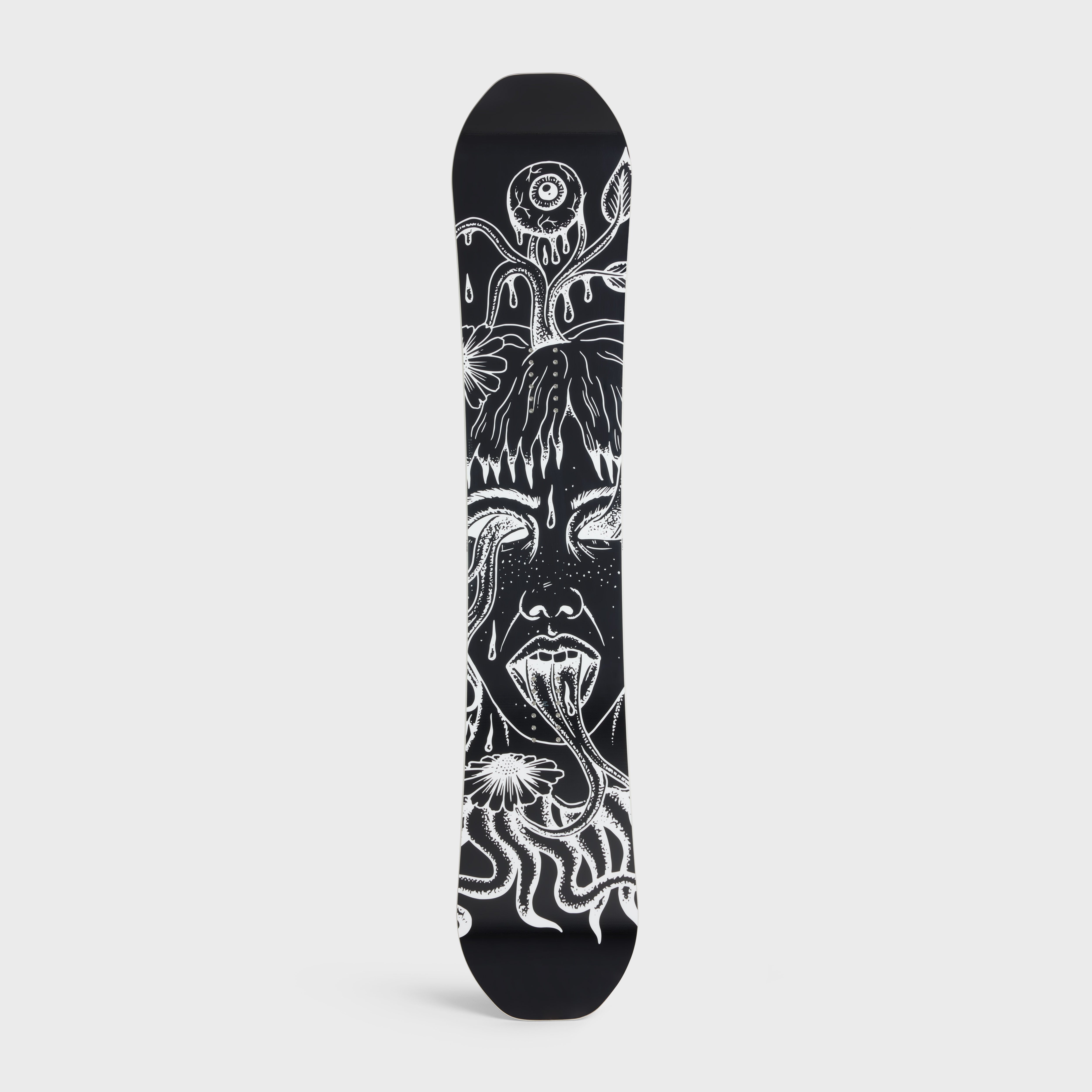 SNOWBOARD ARTIST PRINT - 1