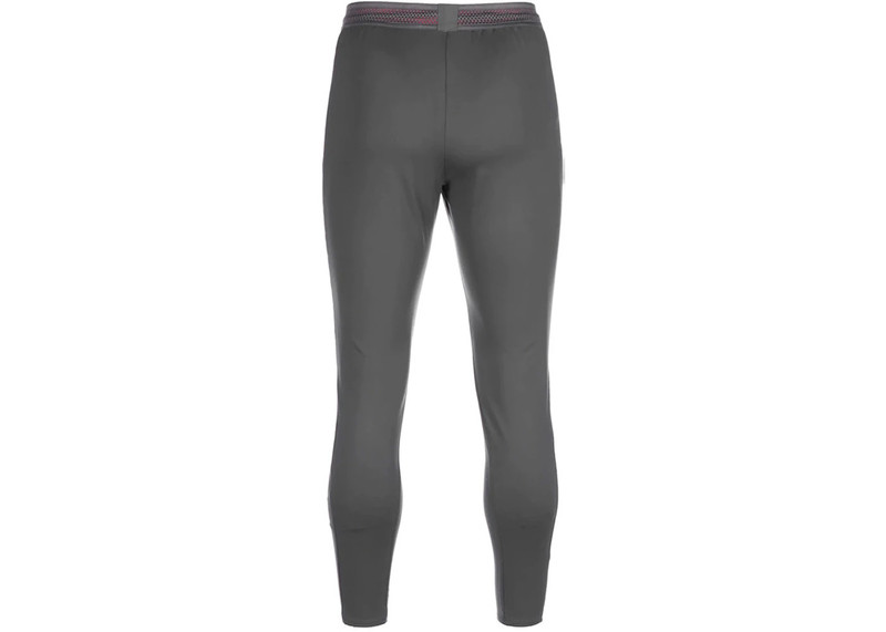 Nike Nike Paris Saint Germain PSG Strike 21/22 Pants Light Grey outlook