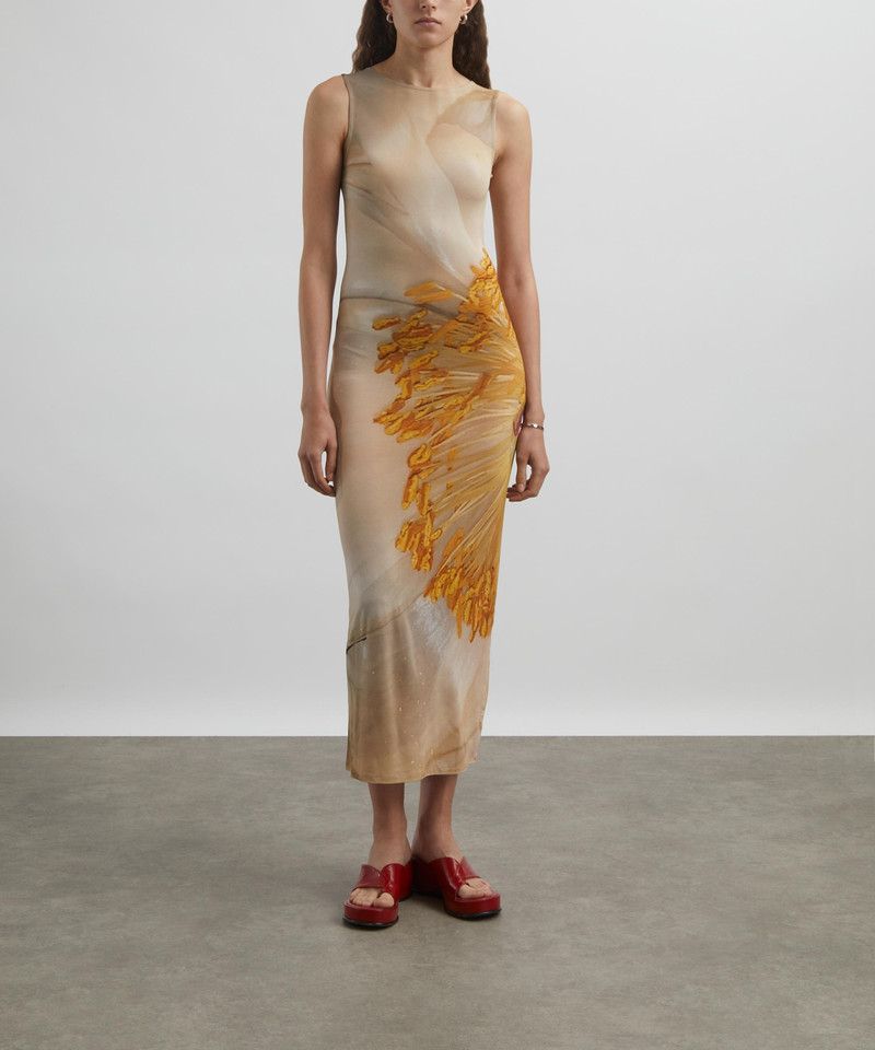 paloma wool Fortunata Floral Mesh Maxi Dress outlook