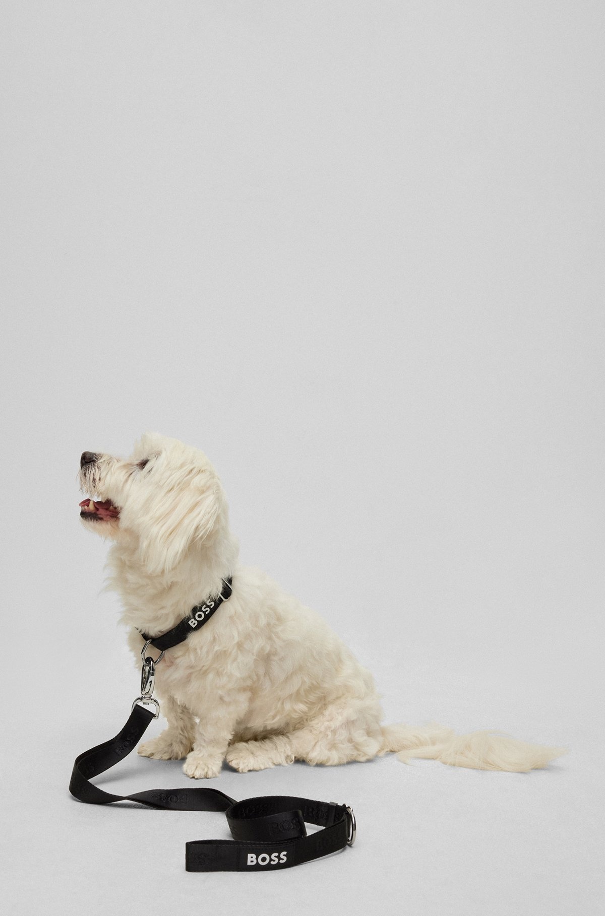 DOG COLLAR WITH JACQUARD LOGO DETAILING - 4