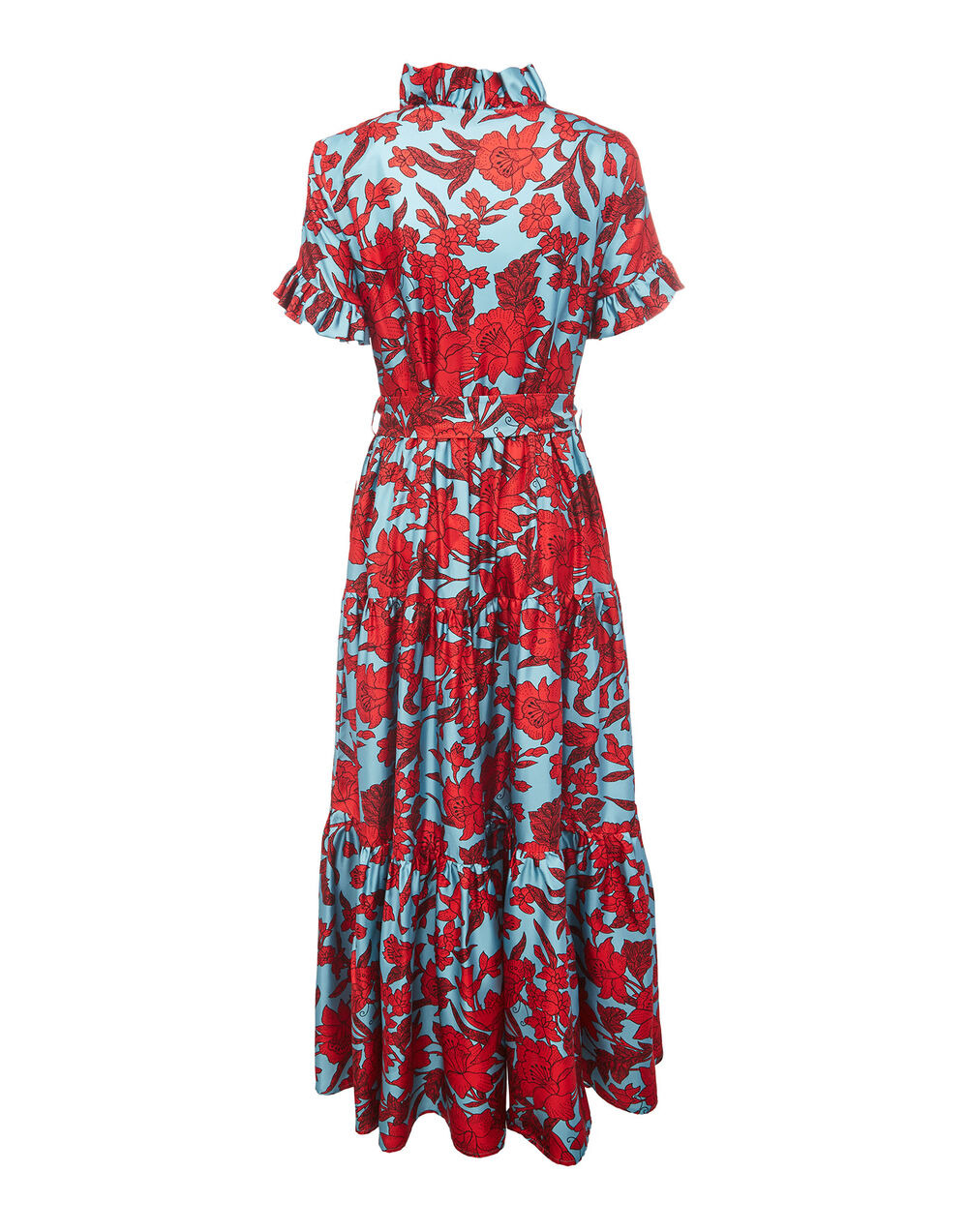 Long and Sassy Dress - 4