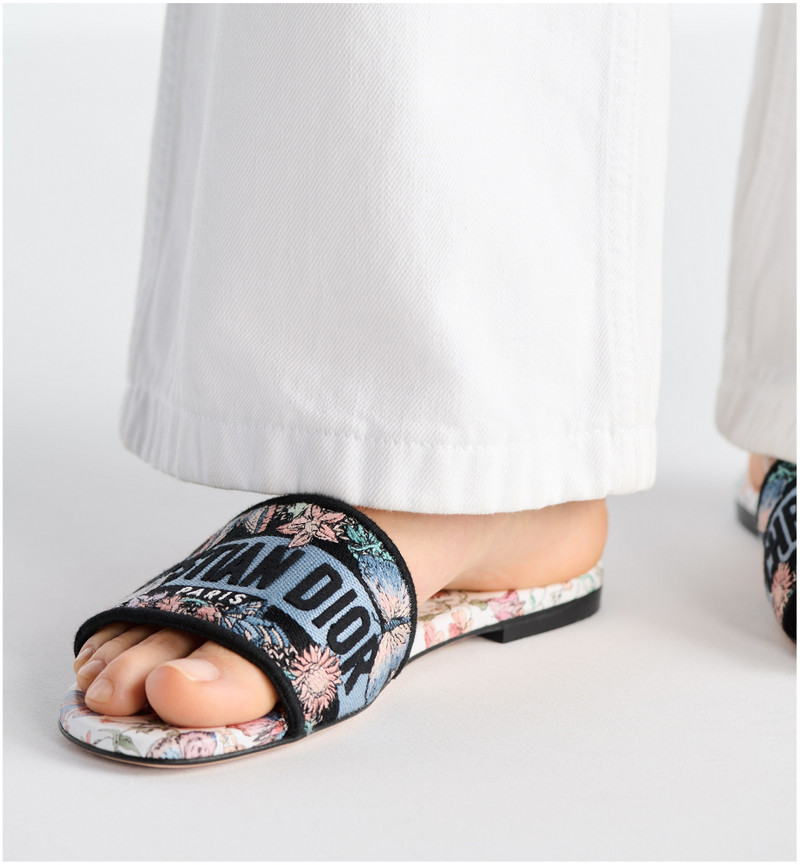 Dior Dway Slide outlook