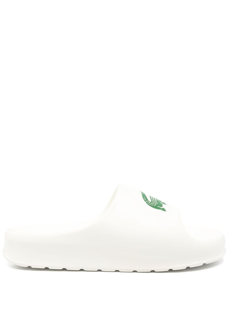 logo-print slides 1