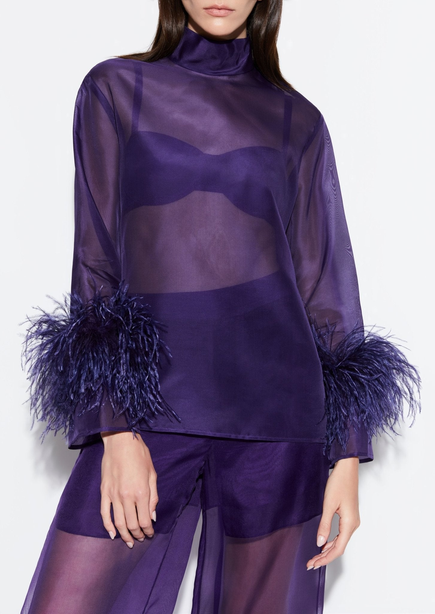 Organza Top With Feathers - 4