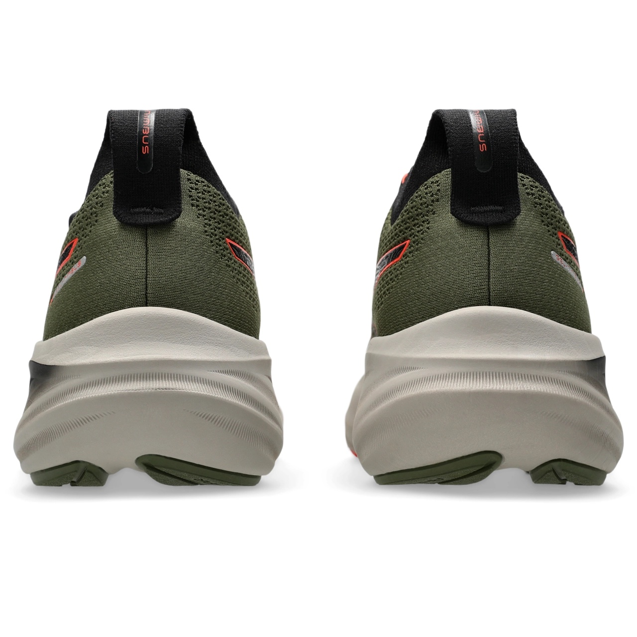 GEL-NIMBUS 26 TR - 5