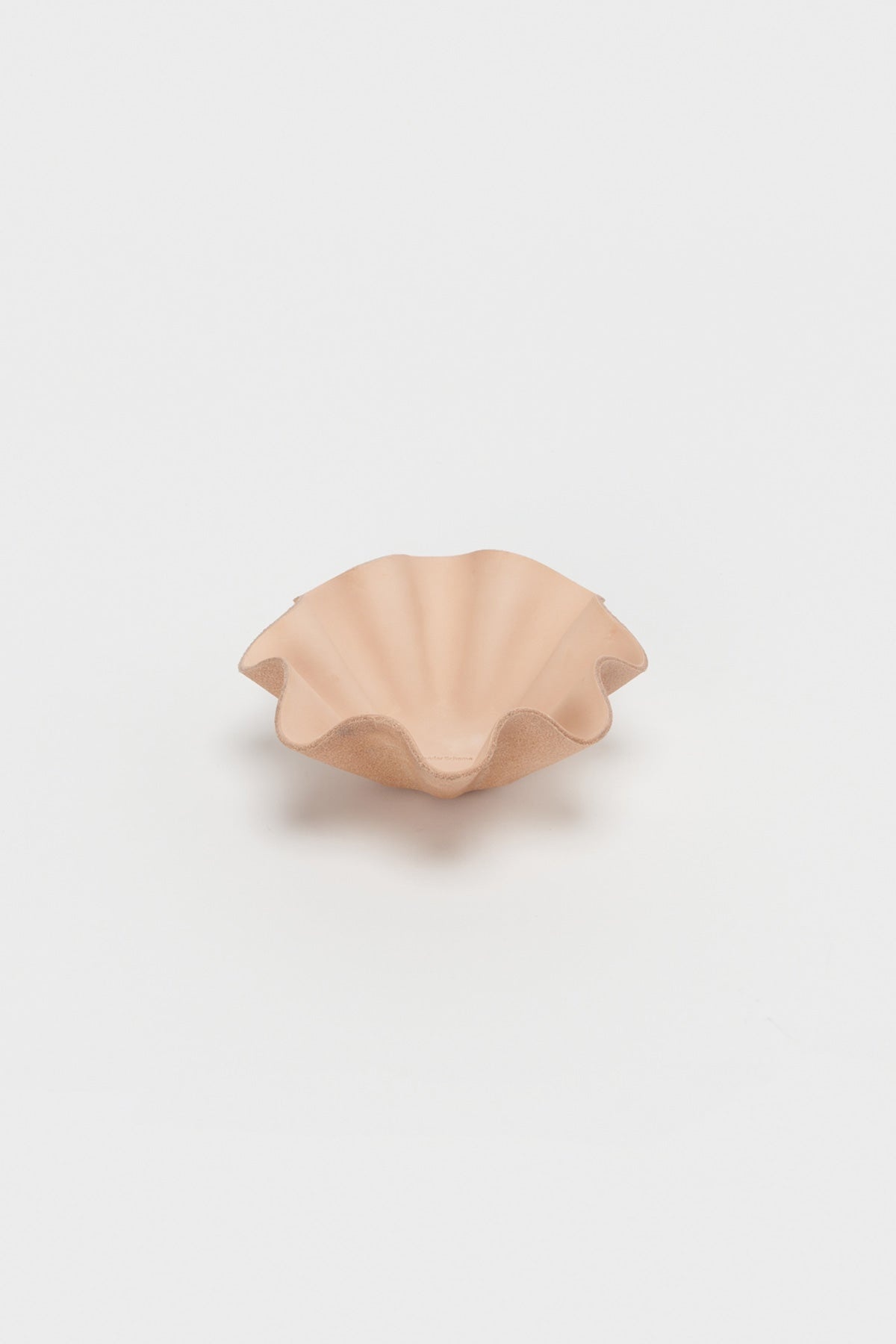 Shell Bowl Small - Natural - 1