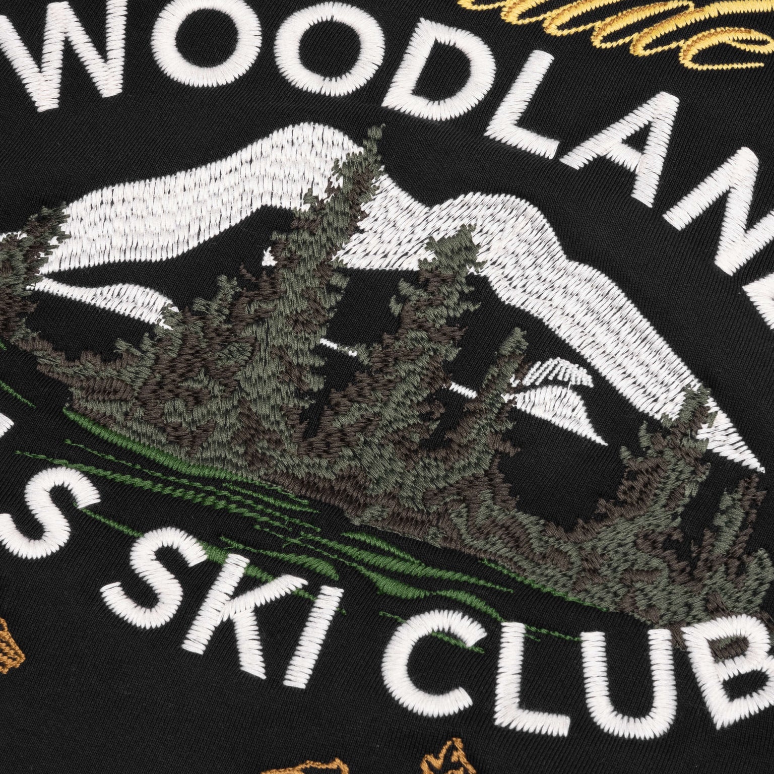 WOODLAND HILLS SKI HOODIE - VTG BLACK - 5