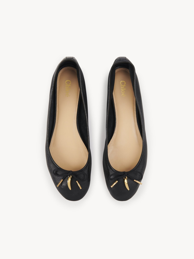 IRIS BALLERINA 3