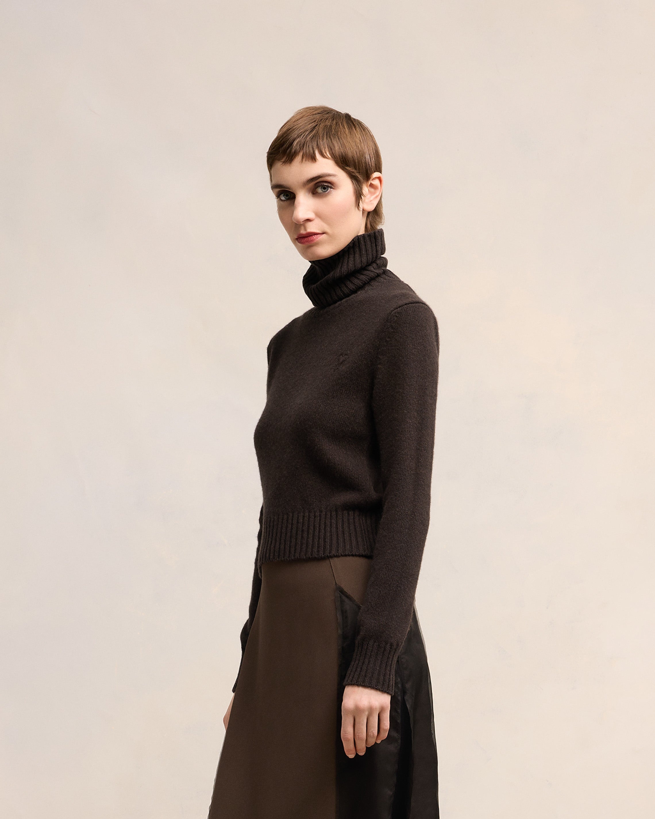 CASHMERE AMI DE COEUR TURTLE NECK SWEATER - 6