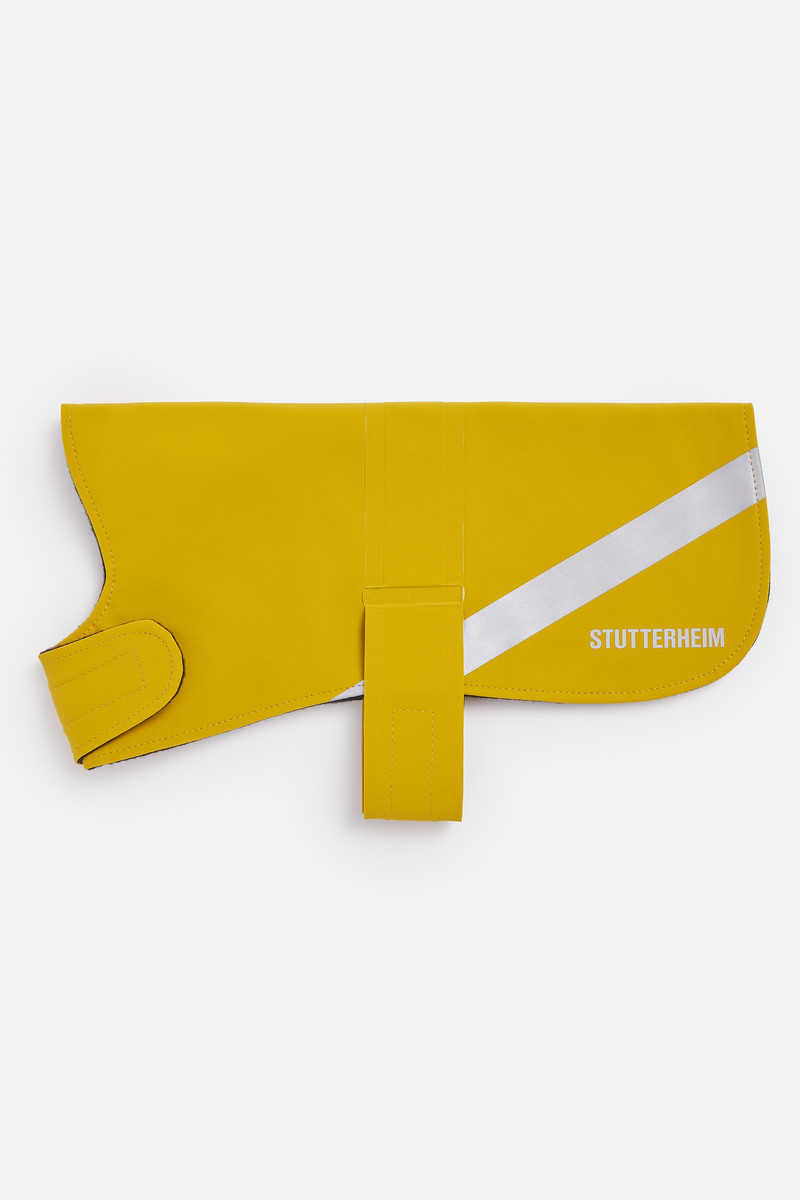 Dog Raincoat Matte Gold 1