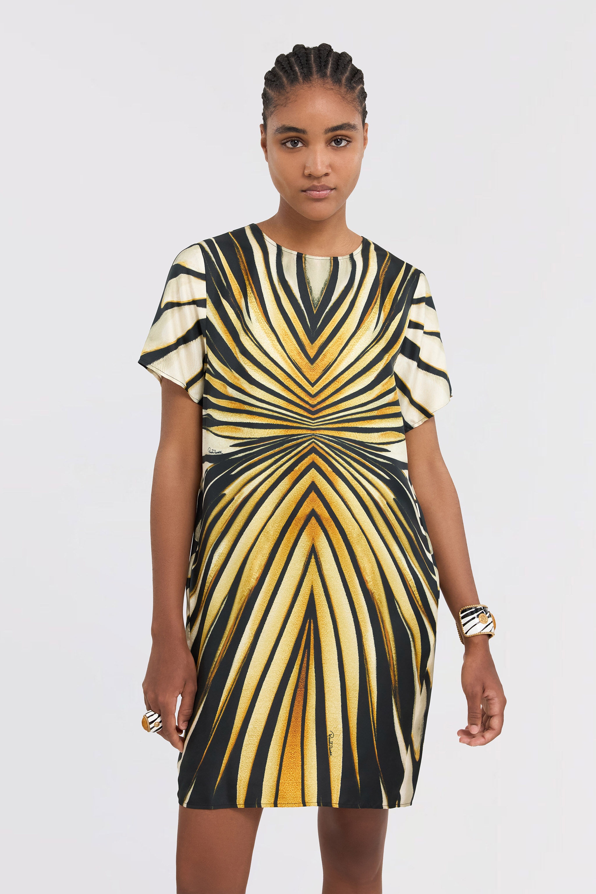 Ray Of Gold Print Silk Mini Dress - 5