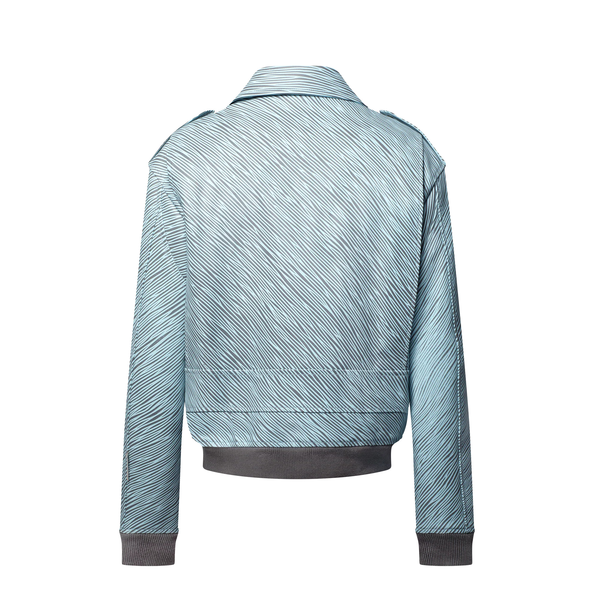 LV x Park Seo-Bo Epi Leather Flight Jacket - 3