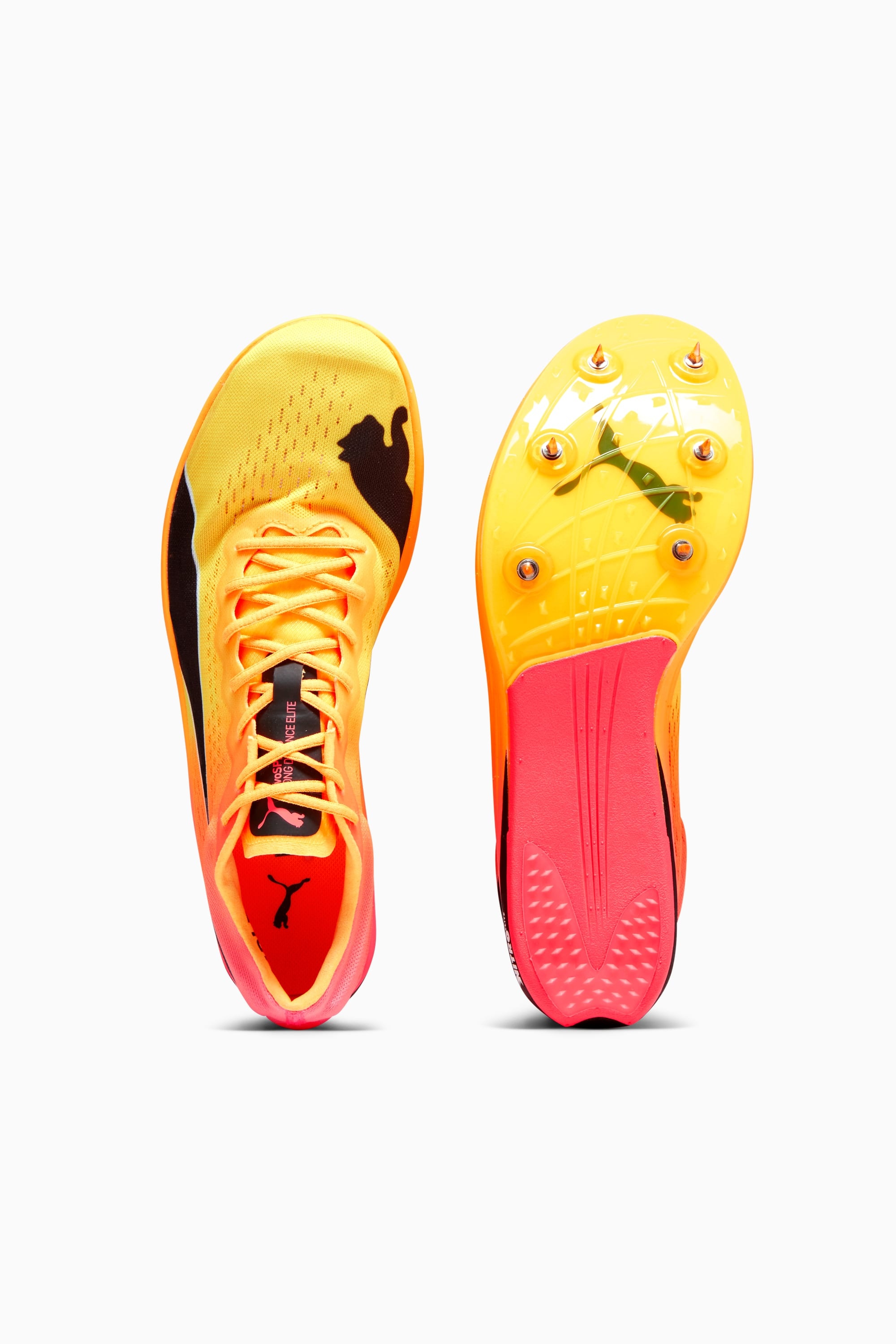 evoSPEED Long Distance NITRO™ Elite+ Track Spikes - 7