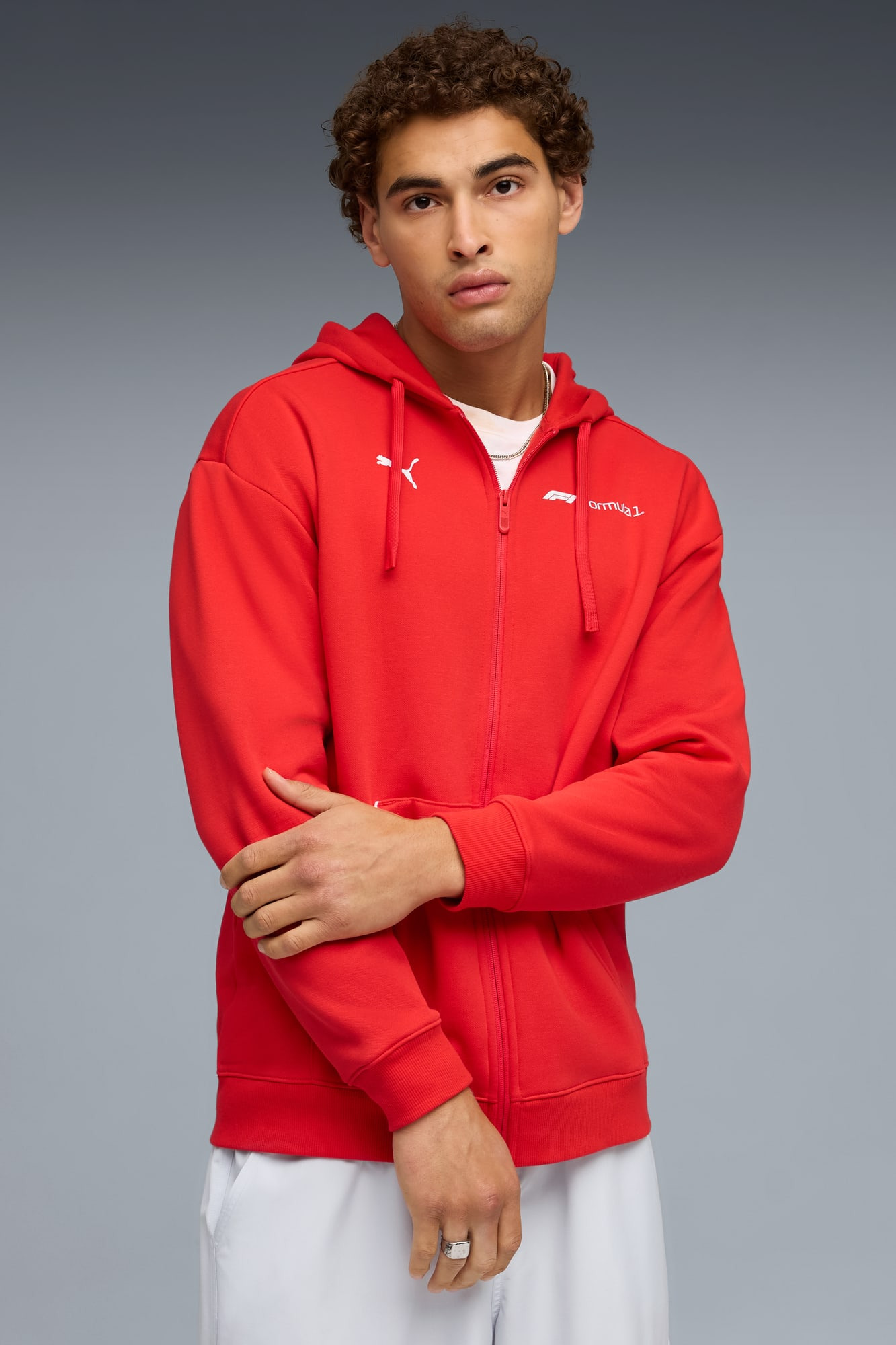 Formula 1® Motorsport Essentials Men's Zip-Up Hoodie - 3