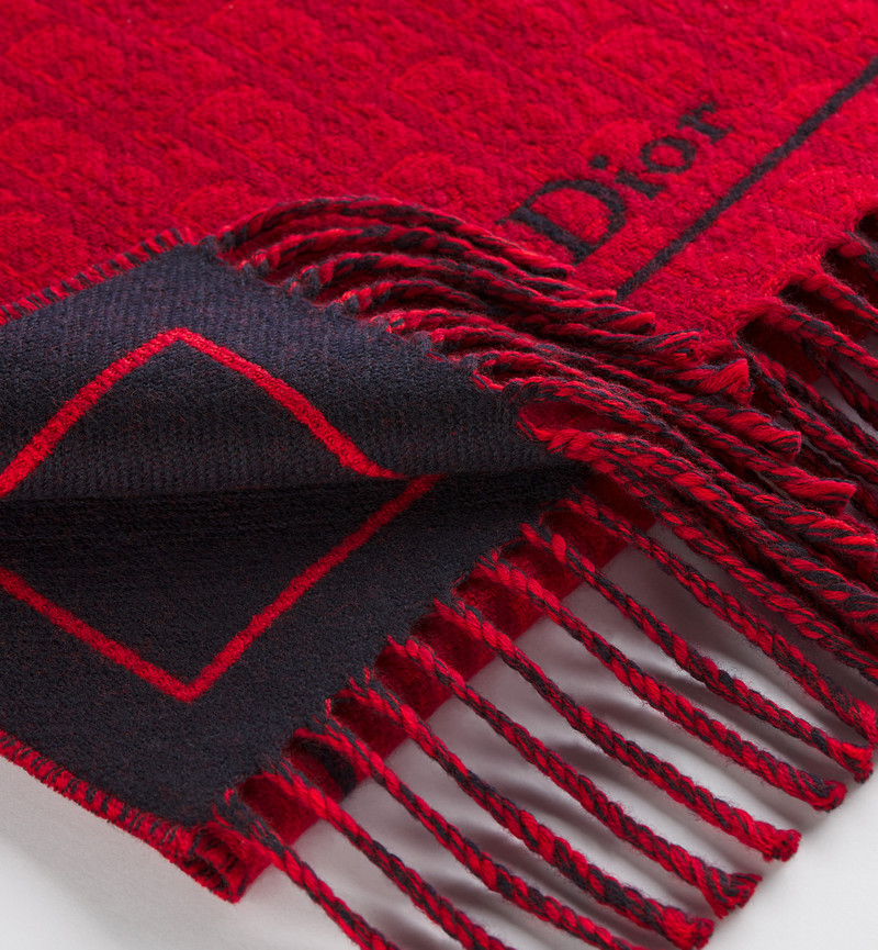 Dior Oblique Scarf 4