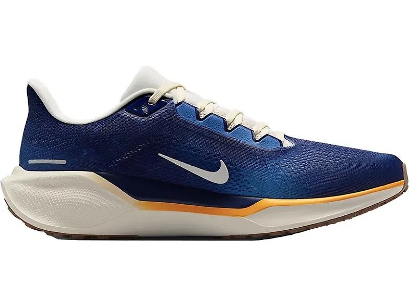Nike Pegasus 41 - 1