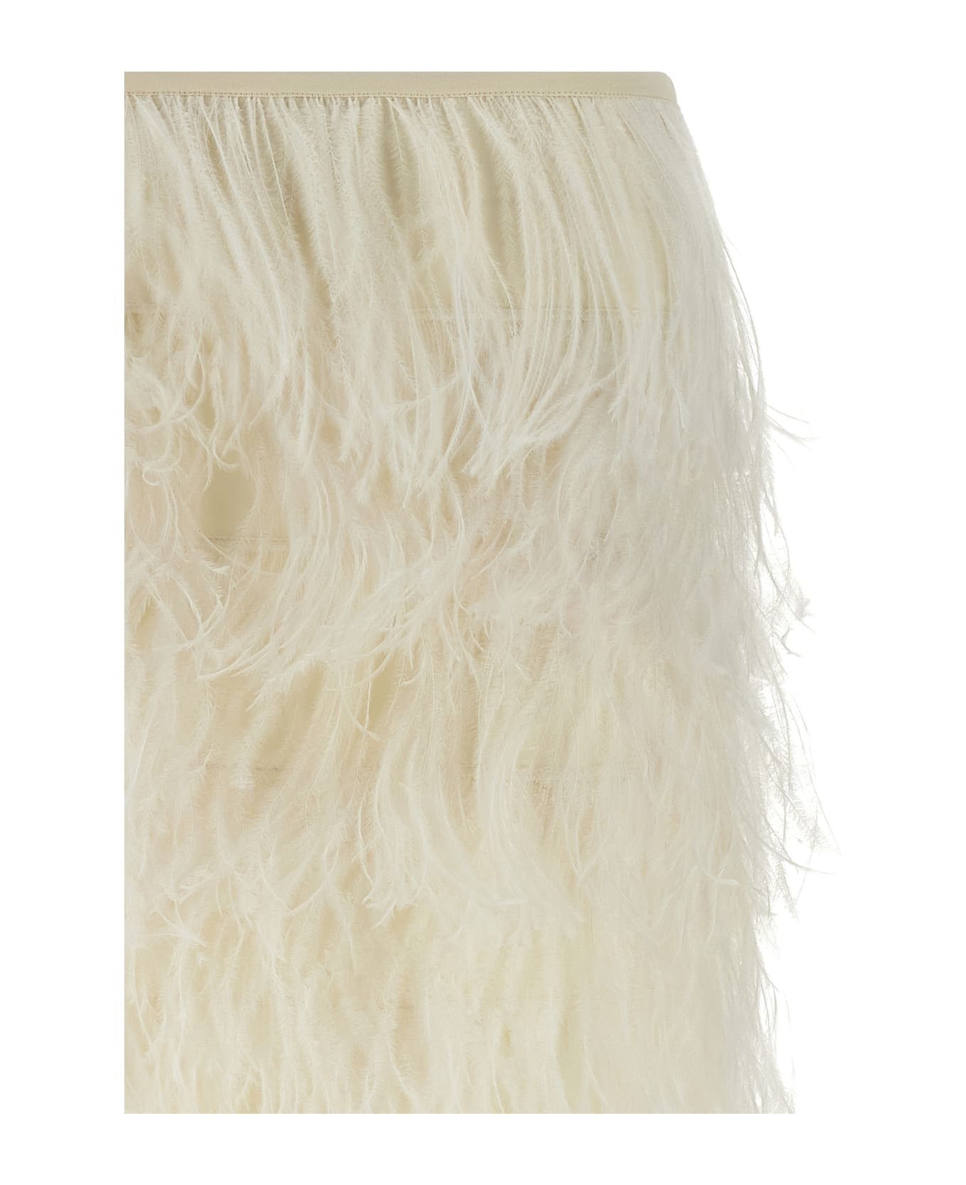 Ostrich Feather Skirt - 3