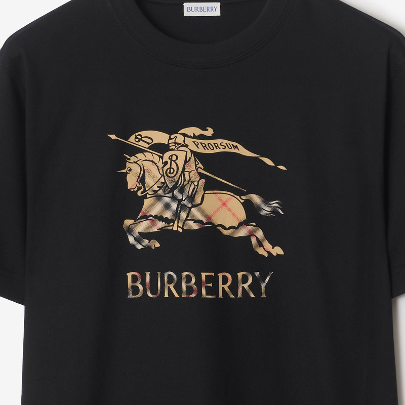 EKD Ombré Cotton T-shirt 4