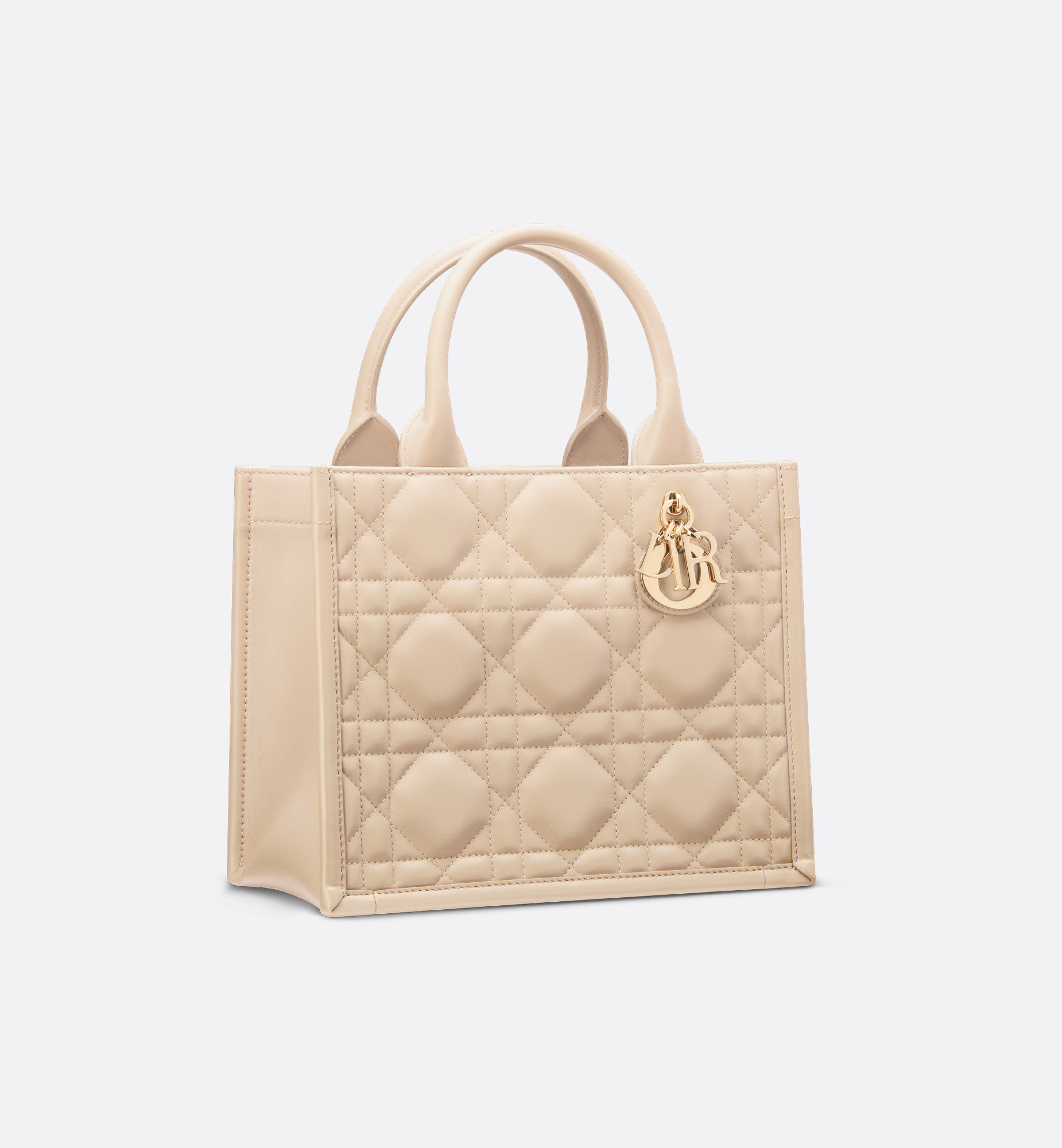 Small Dior Book Tote - 4
