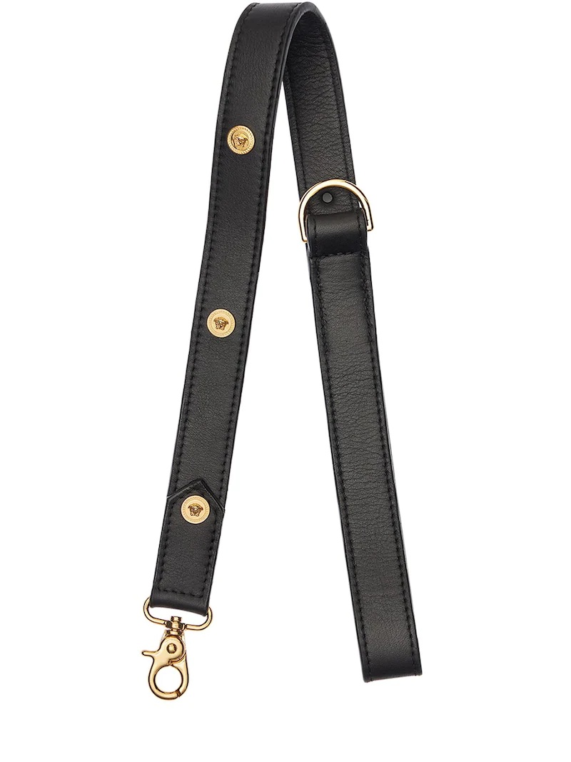 PET LEASH - 2