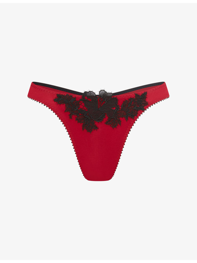Penelopi Embroidered Silk Thong 1