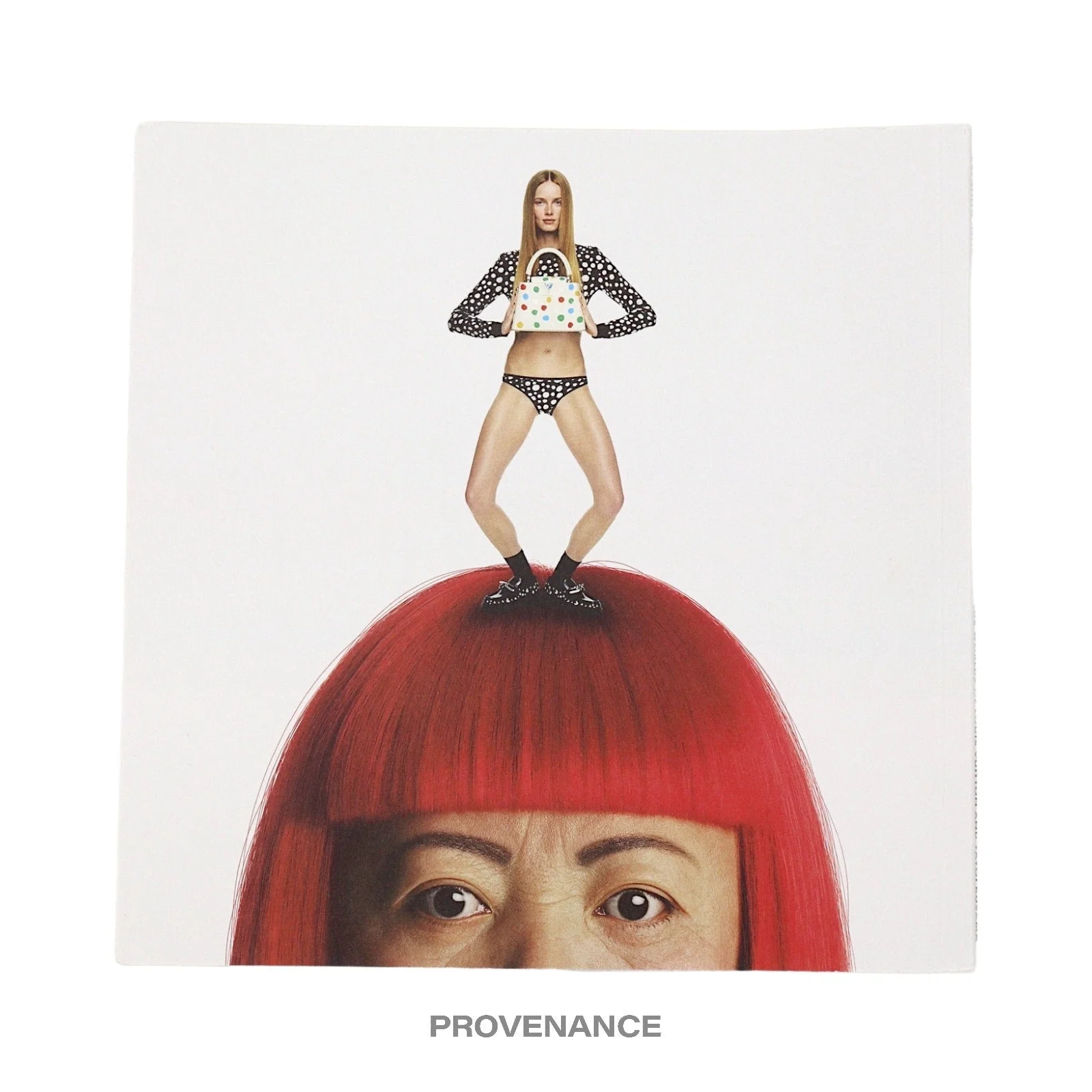 Louis Vuitton X Yayoi Kusama Catalog Book - 1