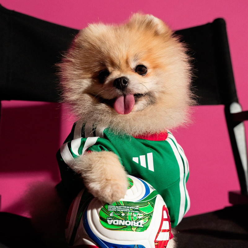Pet Jersey 26 Mexico 8