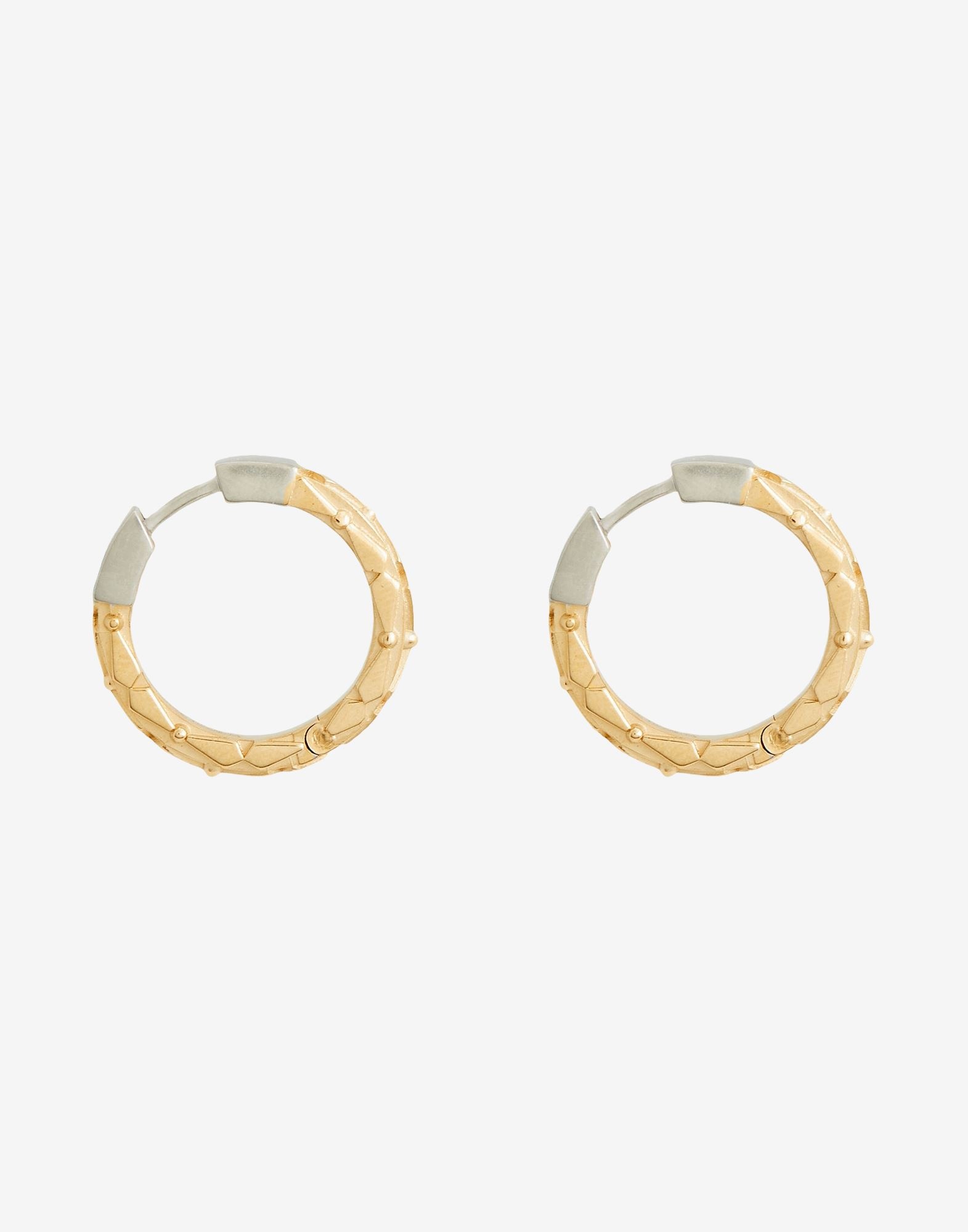 Two-tone earrings - 2