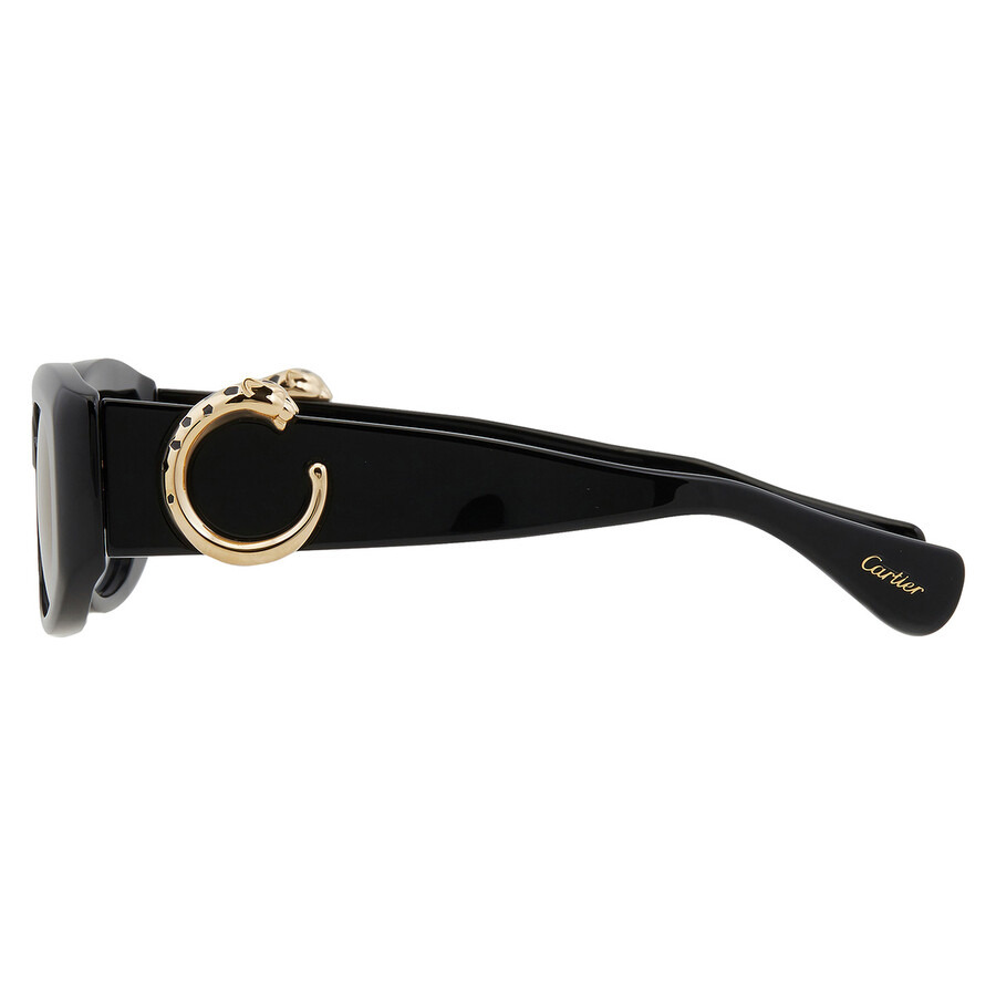 Cartier Panthere de Cartier Grey Multi Treatment Oval Ladies Sunglasses CT0472S 001 51 - 4