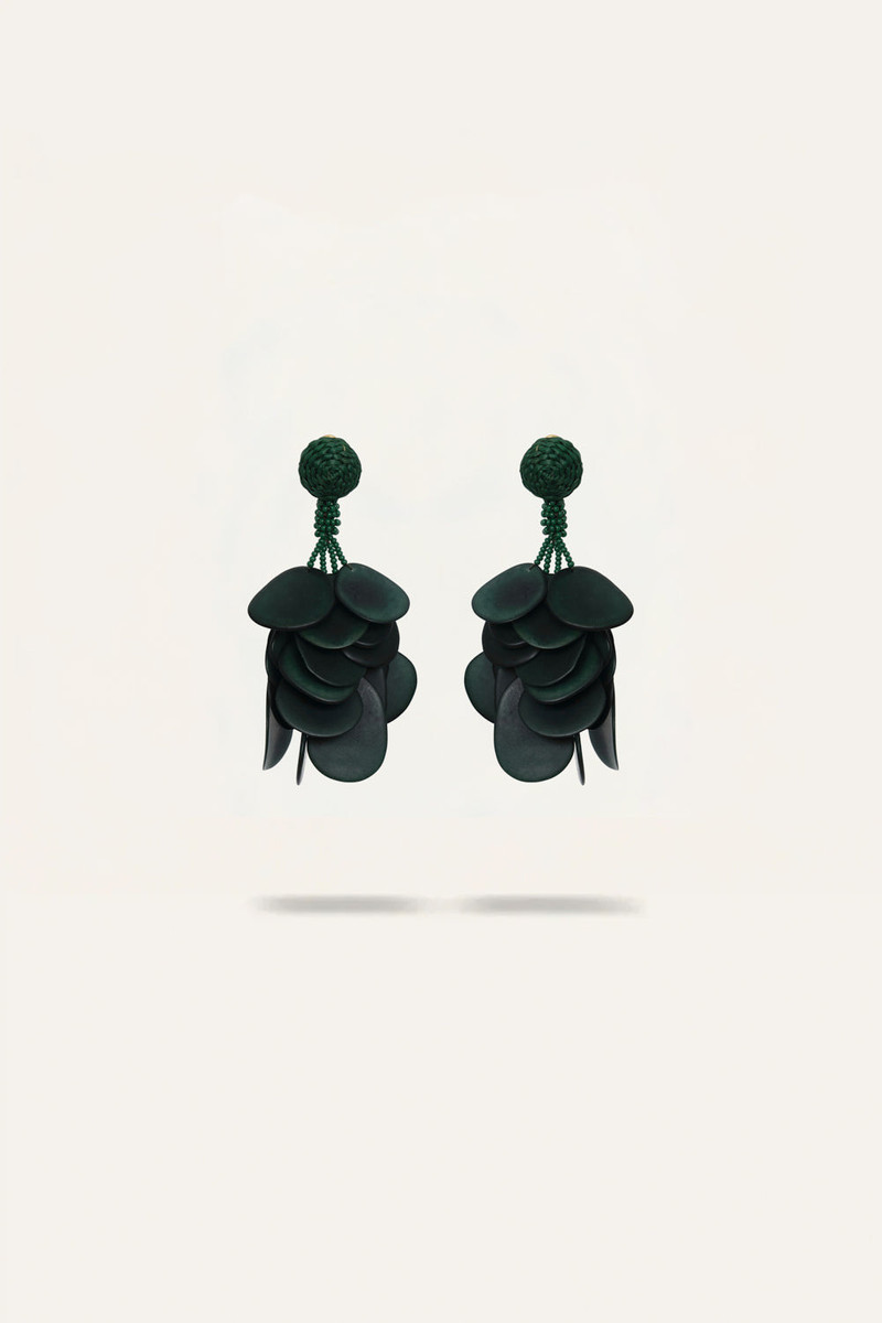 Song Of The Plains Earrings 1