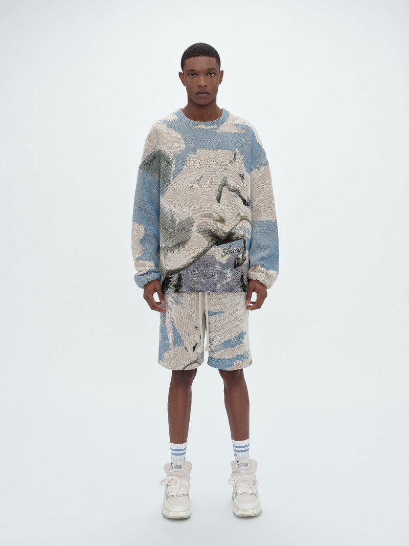 TAPESTRY PEGASUS CREW 2