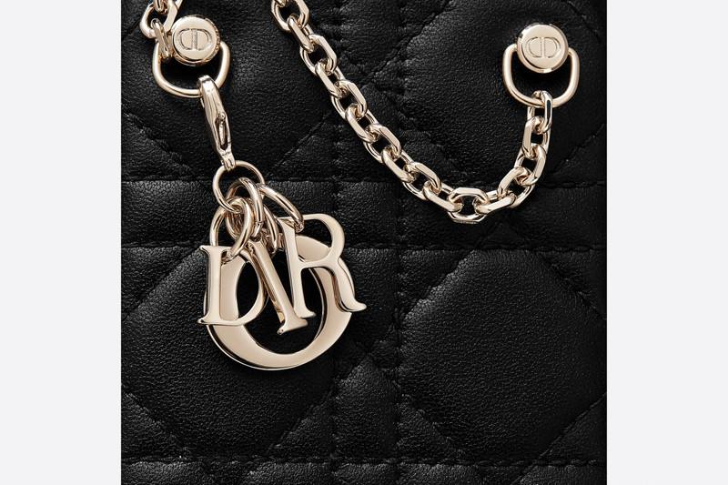 Lady Dior Cover for iPhone 11 Pro Max 4