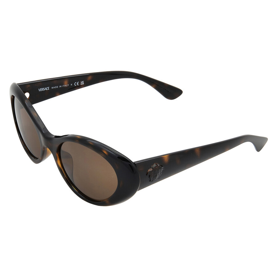 Versace Brown Cat Eye Men's Sunglasses VE4455U 108/73 53 - 4