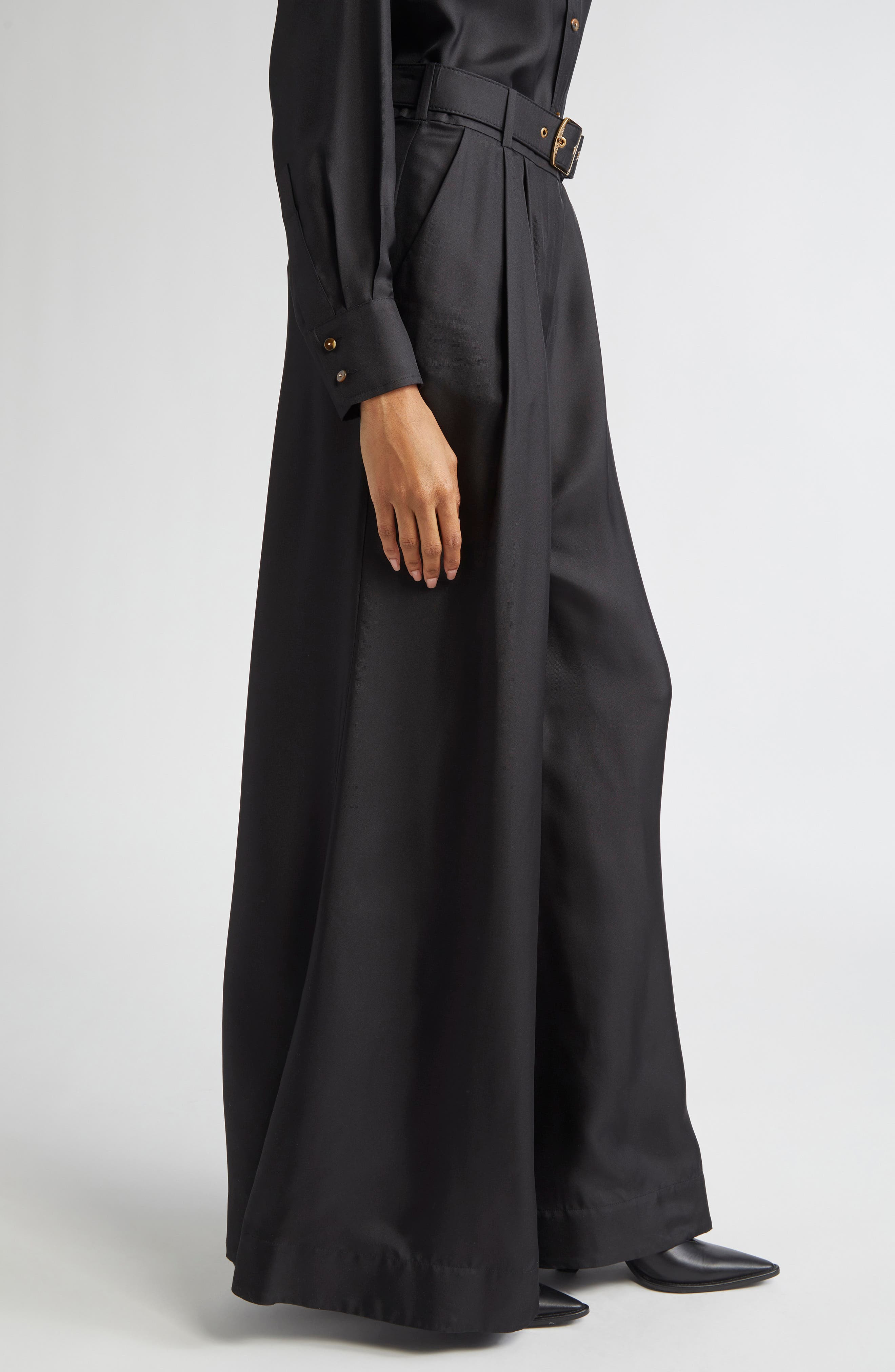 Zimmermann Belted Pleated Wide Leg Silk Trousers in Black at Nordstrom - 4